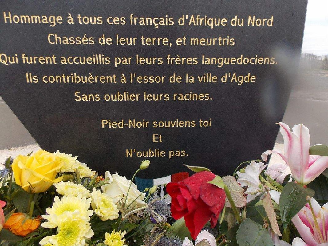 LA STELE DES P.N. AU CAP D AGDE AUX FALAISES DE LA CONQUE (106).jpg